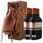 bundle-anfora-sorso-dei-tenaci-2-768×769